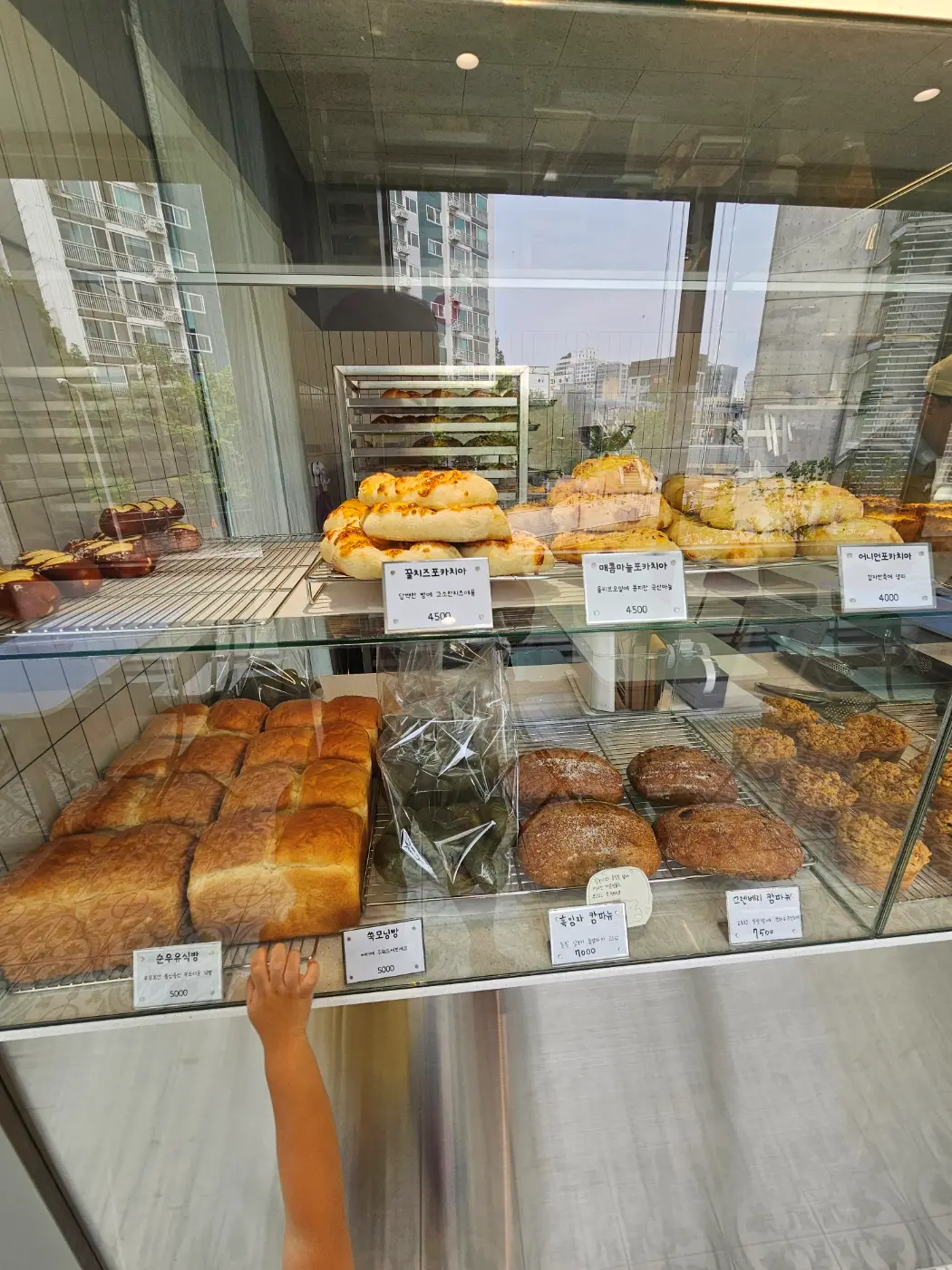 빵 진열 사진