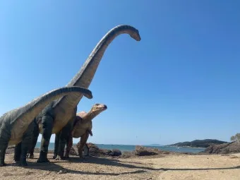 보령 가볼만한곳 맛집 추천 카페 아이랑 베스트 10_9