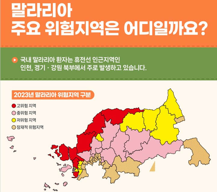 말라리아 증상 예방접종 예방약 치료제 총정리 