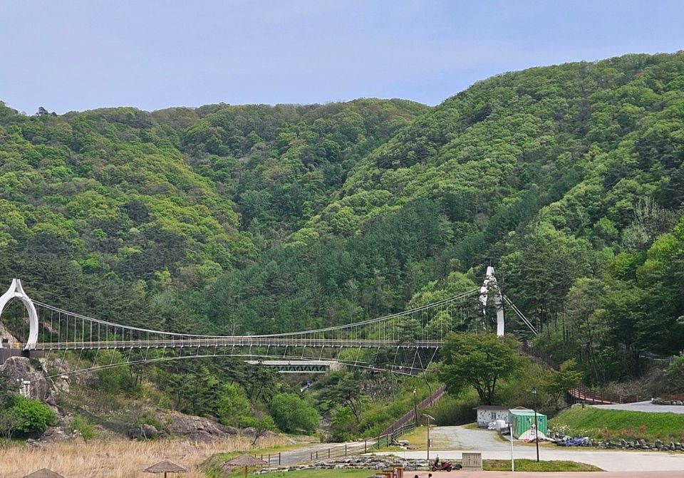 정읍구절초지방정원