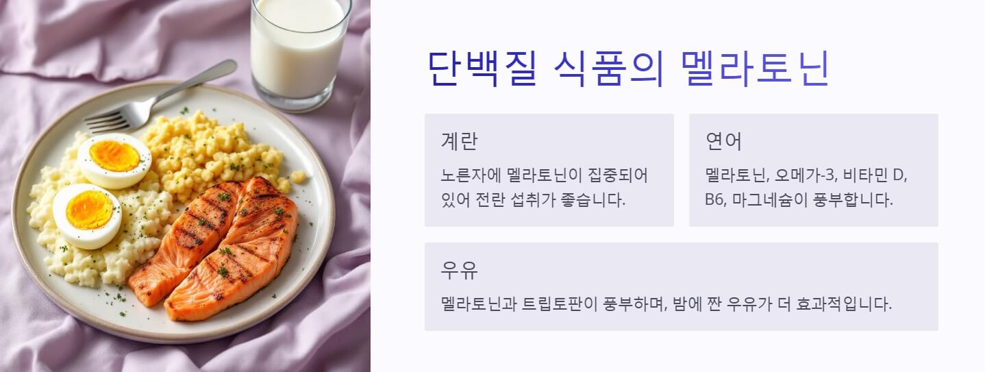 멜라토닌 많은 음식