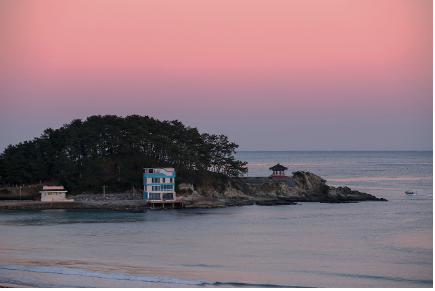 부산 달맞이길 벚꽃 여행 가이드