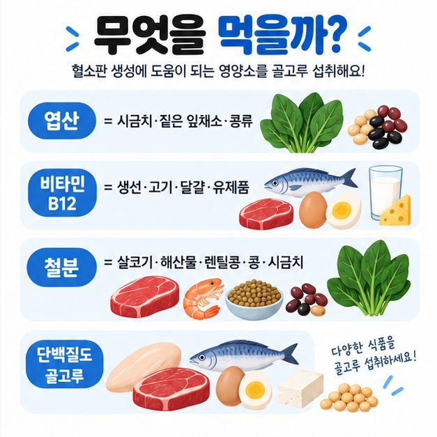 혈소판 감소증에 도움이 될 수 있는 엽산 비타민 B12 철분 단백질 식품을 정리한 카드뉴스