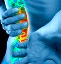 요통 원인과 증상