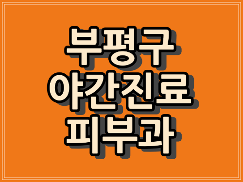 인천 부평 피부과