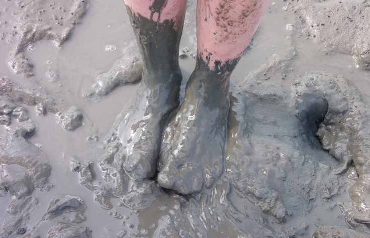 갯벌체험 이미지3