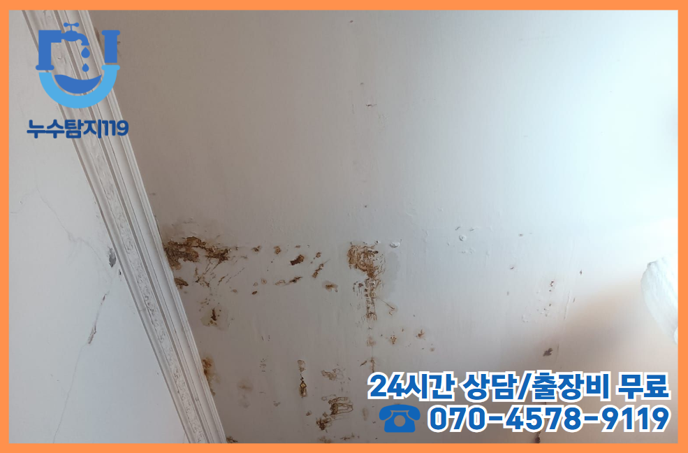 진잠동 아파트, 빌라, 상가건물2