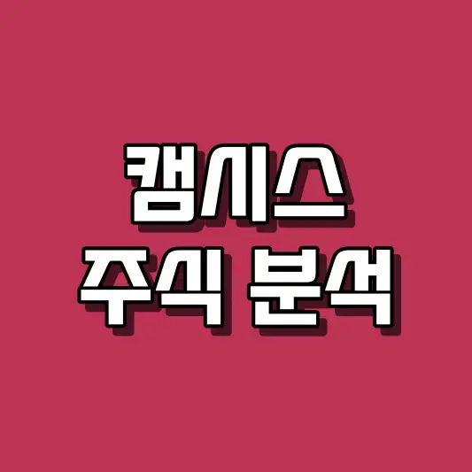 캠시스 주식 분석