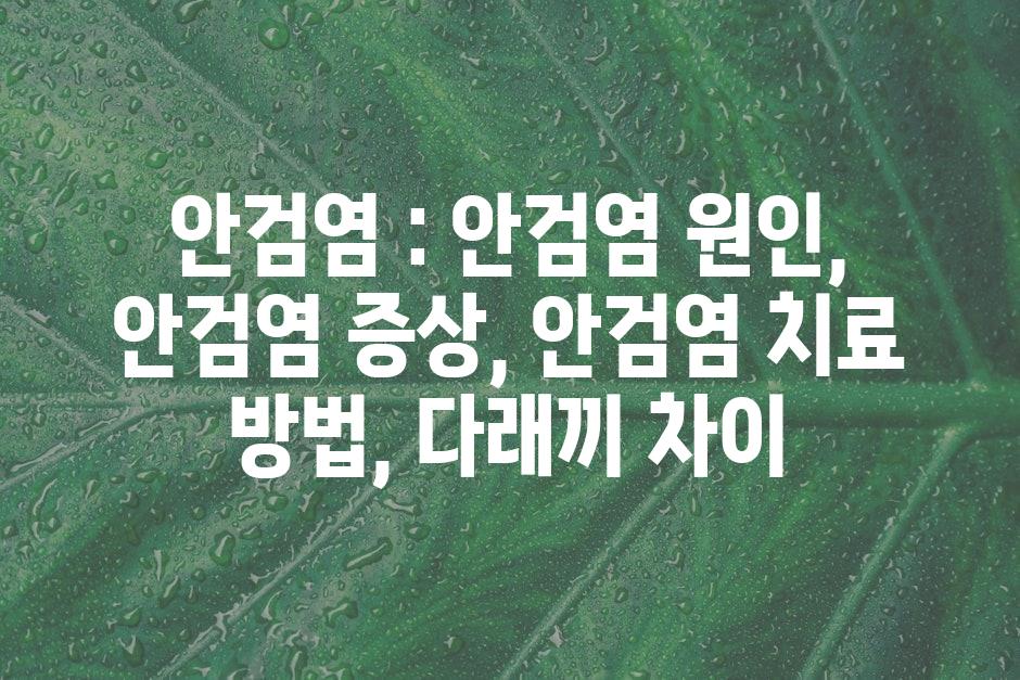 샘플 (44)