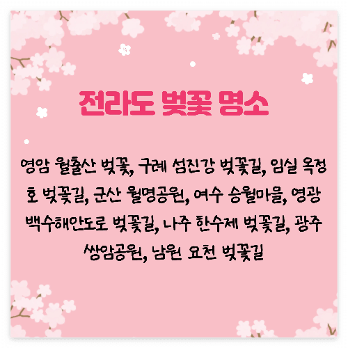 전라도 벚꽃명소&여행지