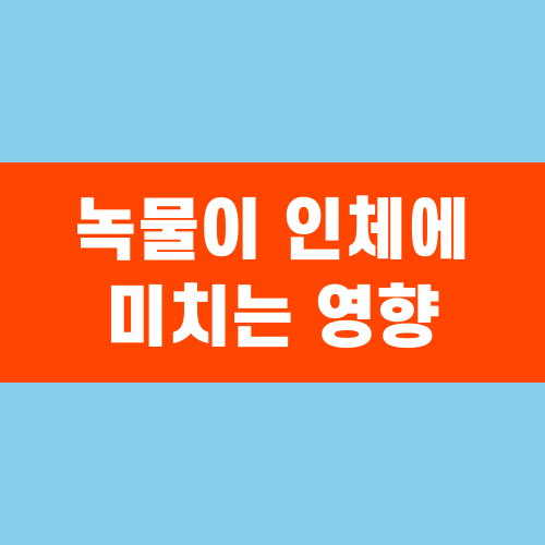 녹물이 인체에 미치는 영향