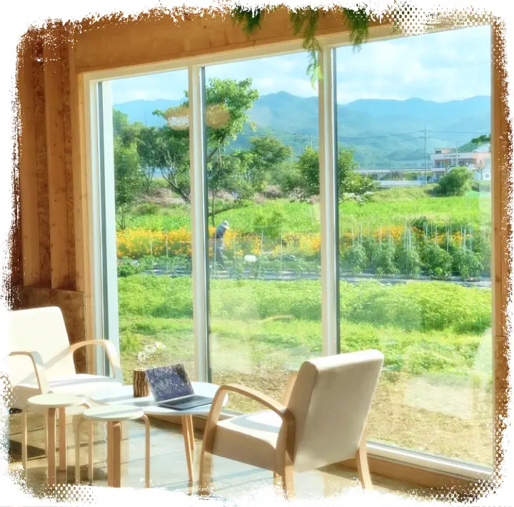 생방송오늘저녁 양양 죽도해수욕장 인구해변 카페 추천 메밀크림라떼 메밀뇨끼 브런치 맛있는 곳