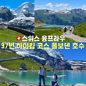 스위스 융프라우 37번 하이킹 코스 후기 아이거글래처에서 클라이네샤이덱까지 걷기로 기록_3