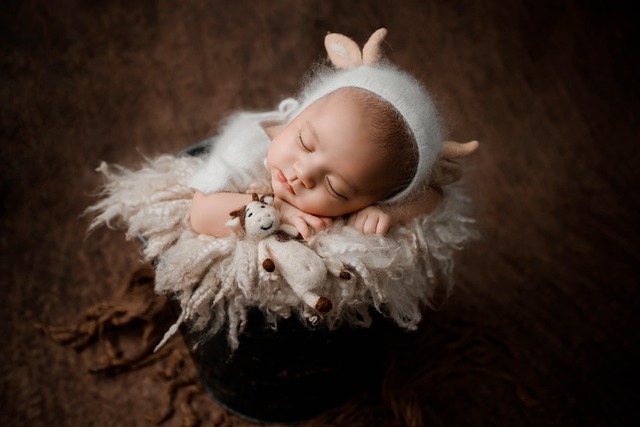 2025년 내동난자 비용