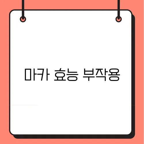 마카 효능 부작용