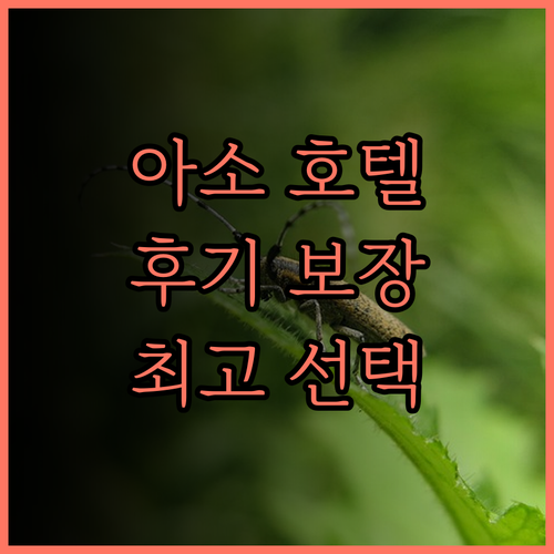 호텔 루트 인 아소 구마모토 에어포트