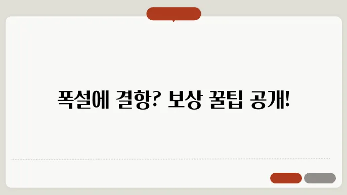 폭설 비행기 결항 볱상 정보