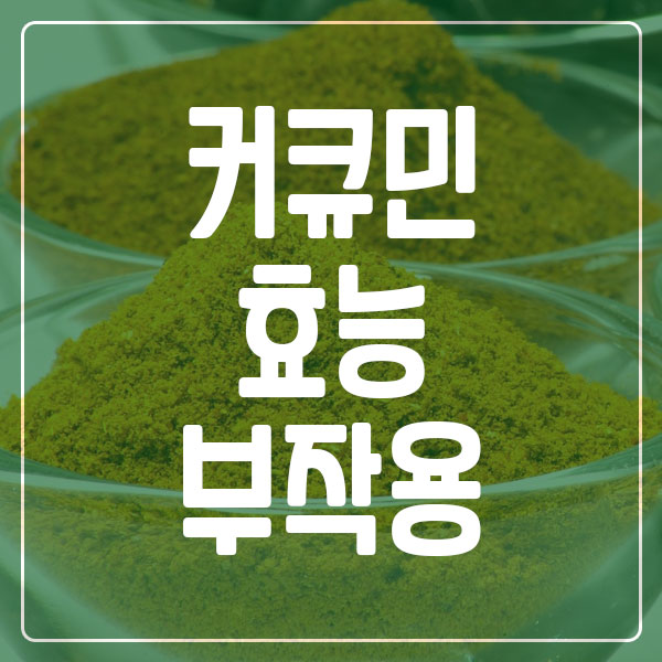 커큐민 효능 부작용
