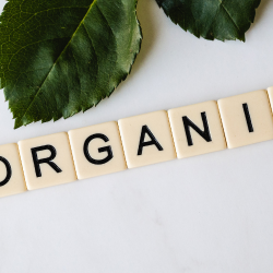 어성초 비누 부작용 7가지와 대처법 추천