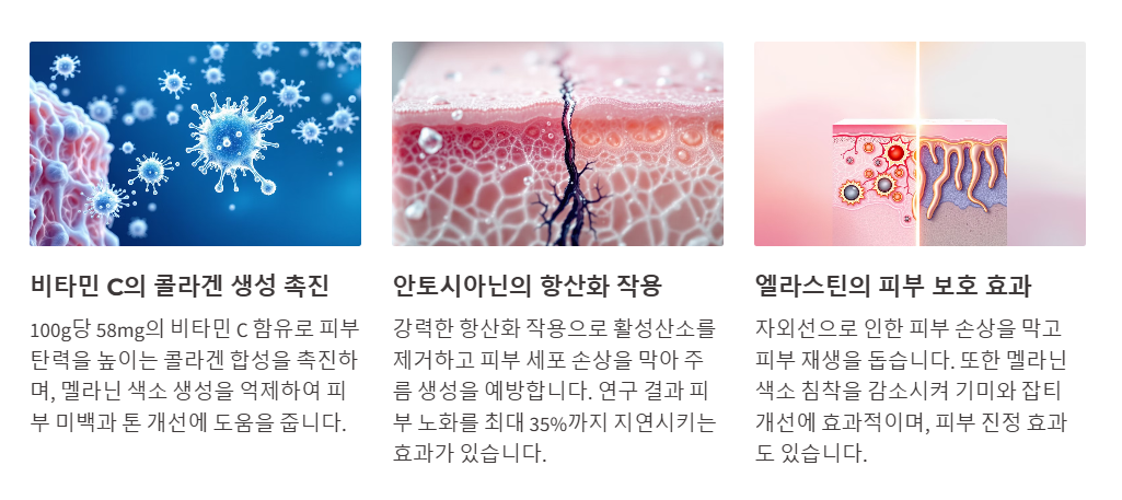 피부미용과 노화방지에 효과적인 딸기