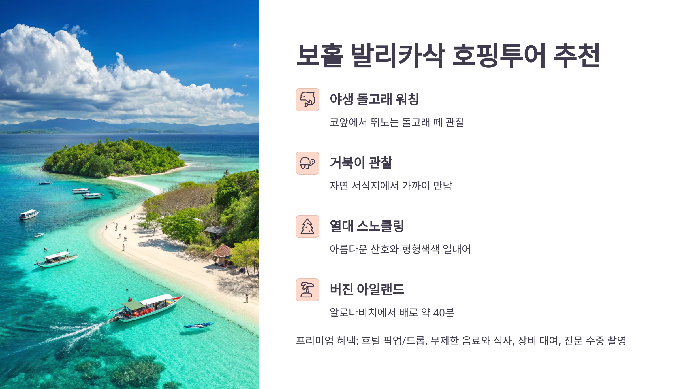 보홀 고래상어 투어 대체 호핑 추천