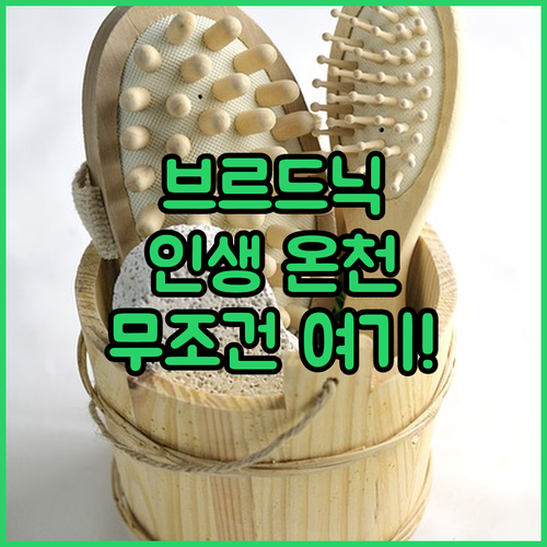 세르비아 브르드닉 온천 여행 떠나기 ..