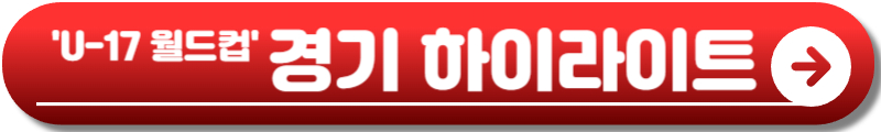 u17 월드컵