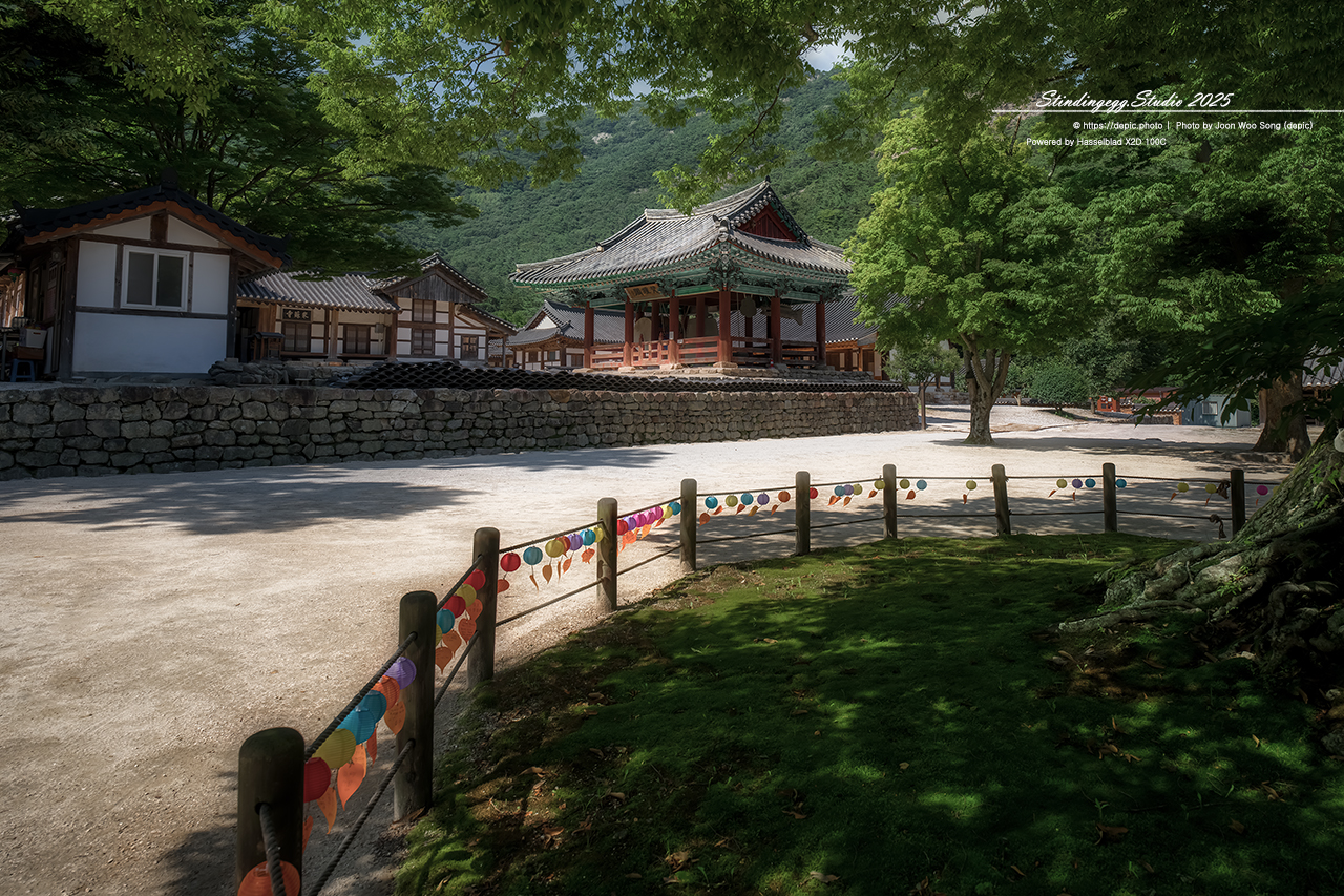 #부안 #변산반도 #내소사 #사찰 #불교