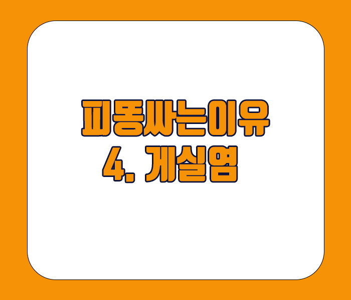 피똥싸는 이유 - 게실염