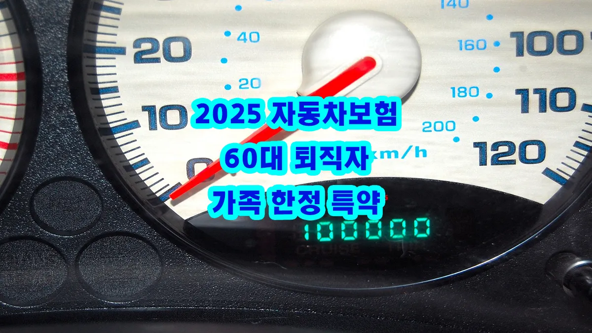 2025 자동차보험 60대 퇴직자 가족 한정 특약