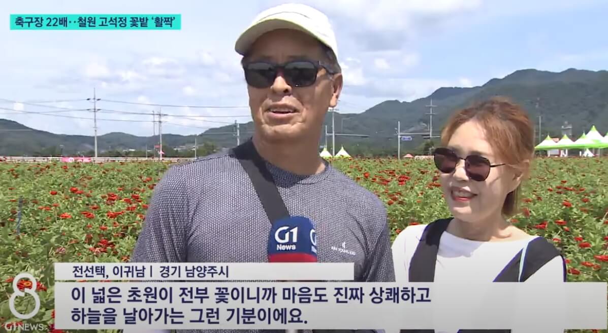 철원군 꽃축제 풍경 사진