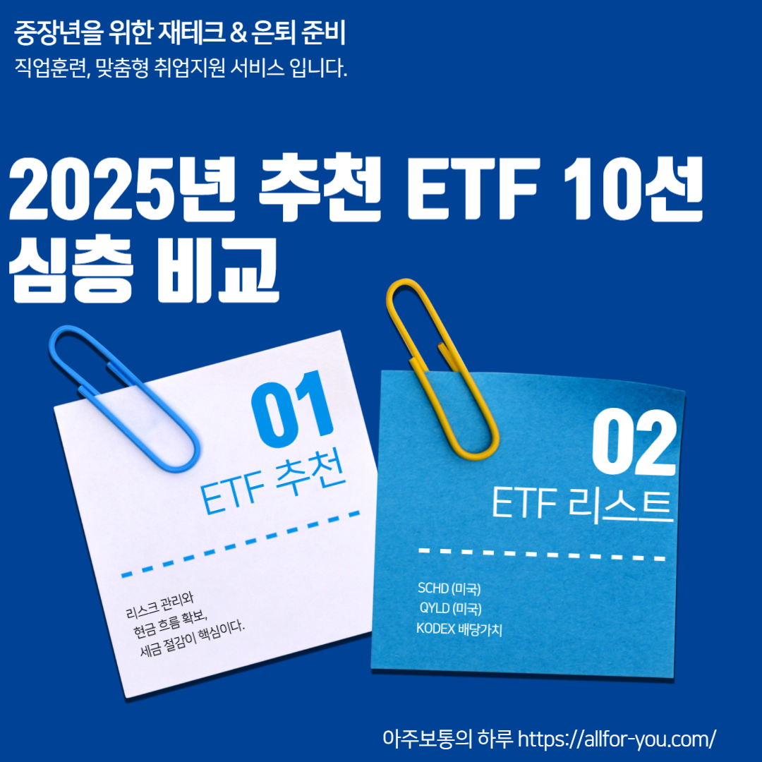 심층비교