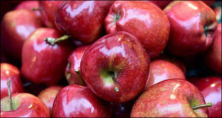 사과 무더기