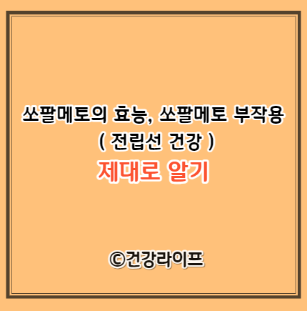 쏘팔메토의 효능&#44; 쏘팔메토 부작용 ( 전립선 건강 )