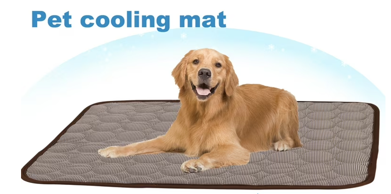 강아지 쿨링 매트 이미지