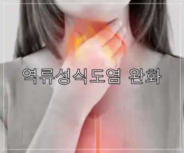 매스틱 효능