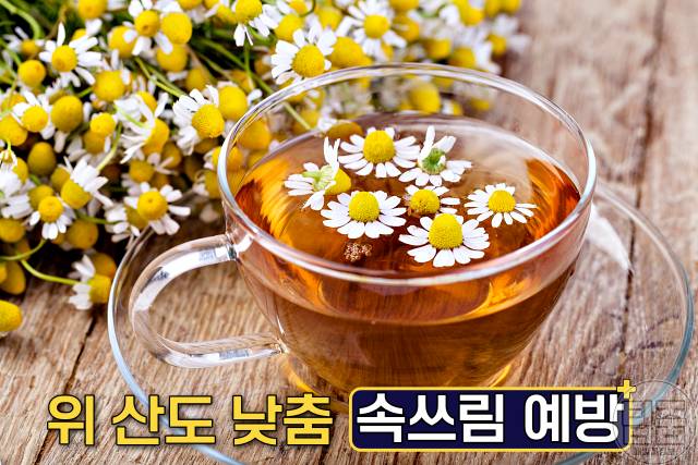 위염에 좋은 음식 위염에좋은차 카모마일차 위염음식