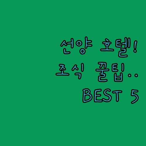 선양 호텔 추천 5곳 위치와 조식 서..