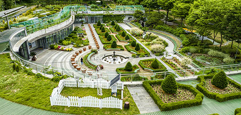 신구대학교 식물원 수국