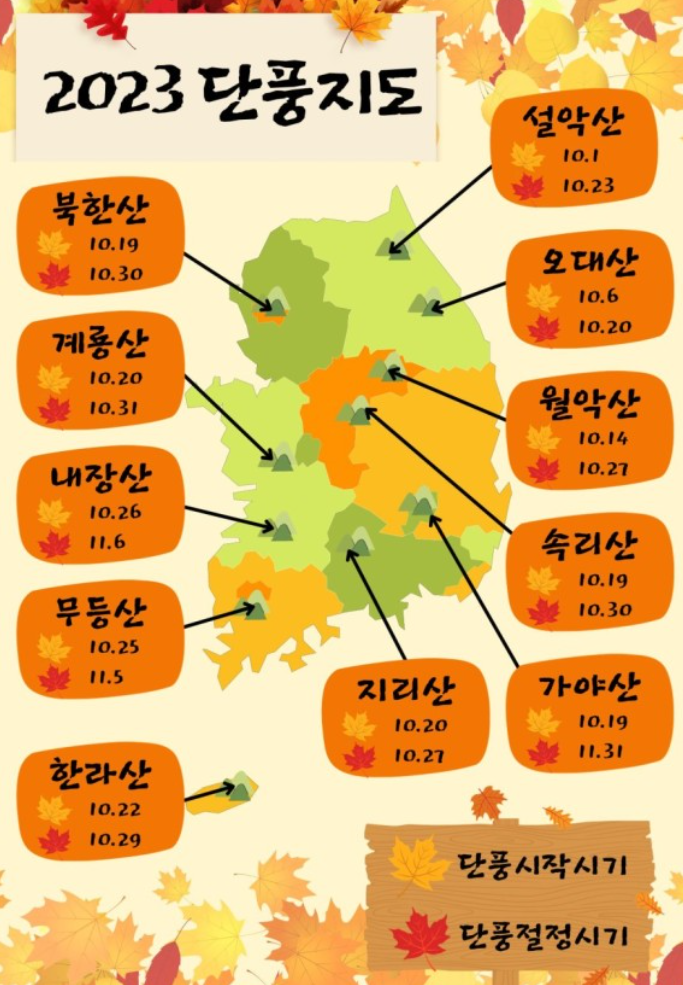 2023 단풍