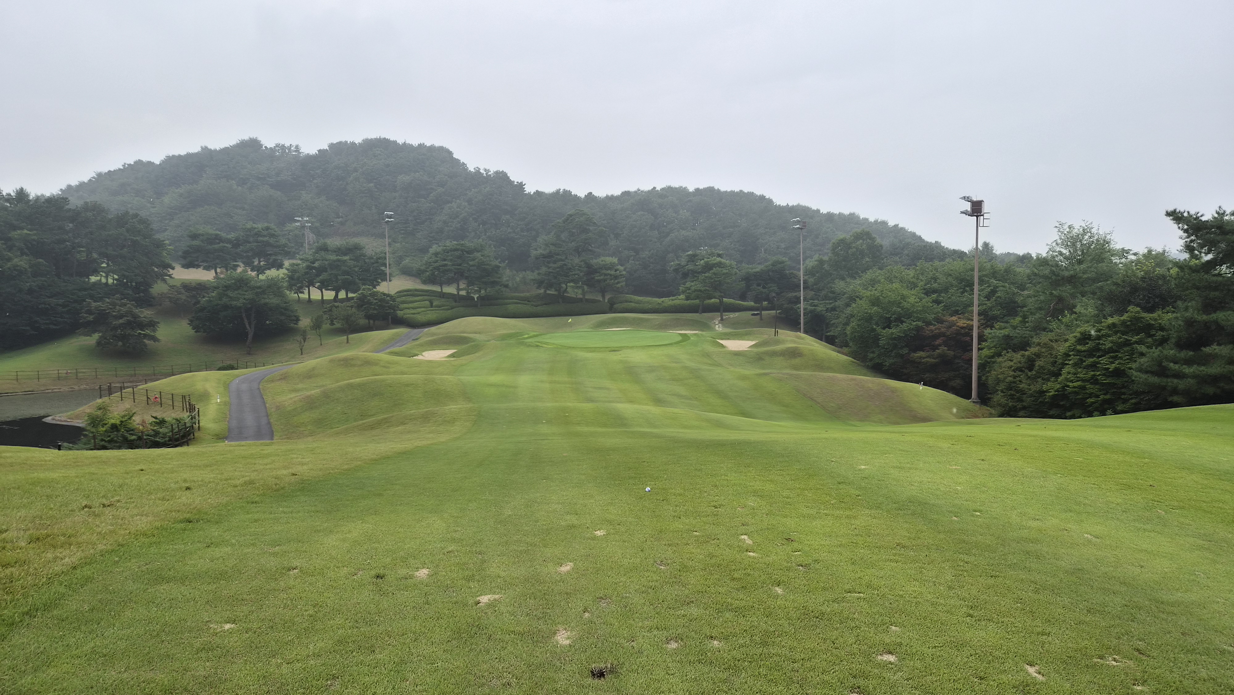 한림용인cc 사파이어-루비 코스 사진 및 공략 정보