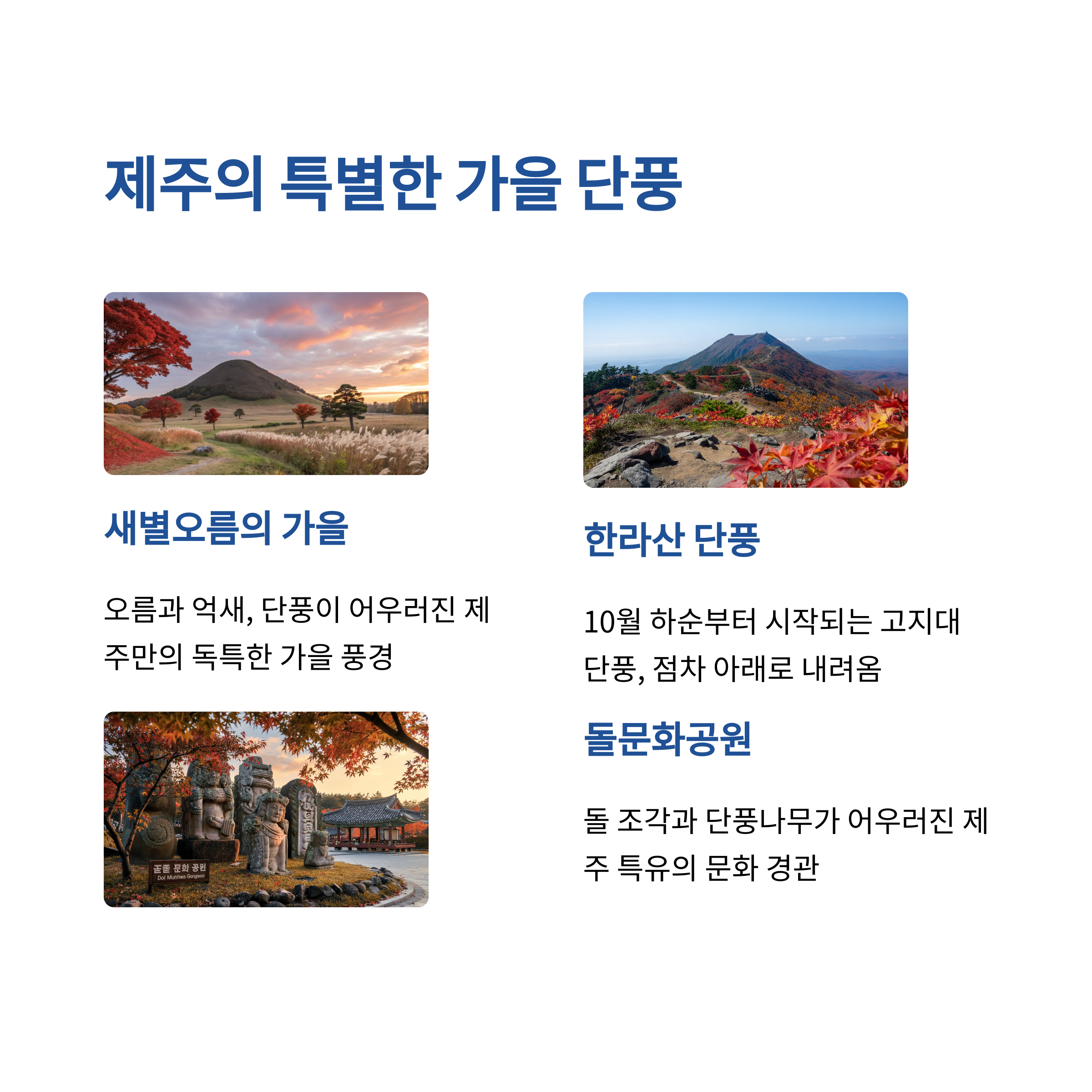제주도 가을 여행