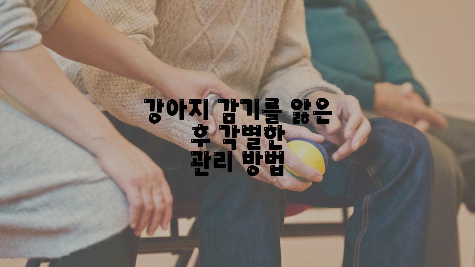 강아지 감기를 앓은 후 각별한 관리 방법