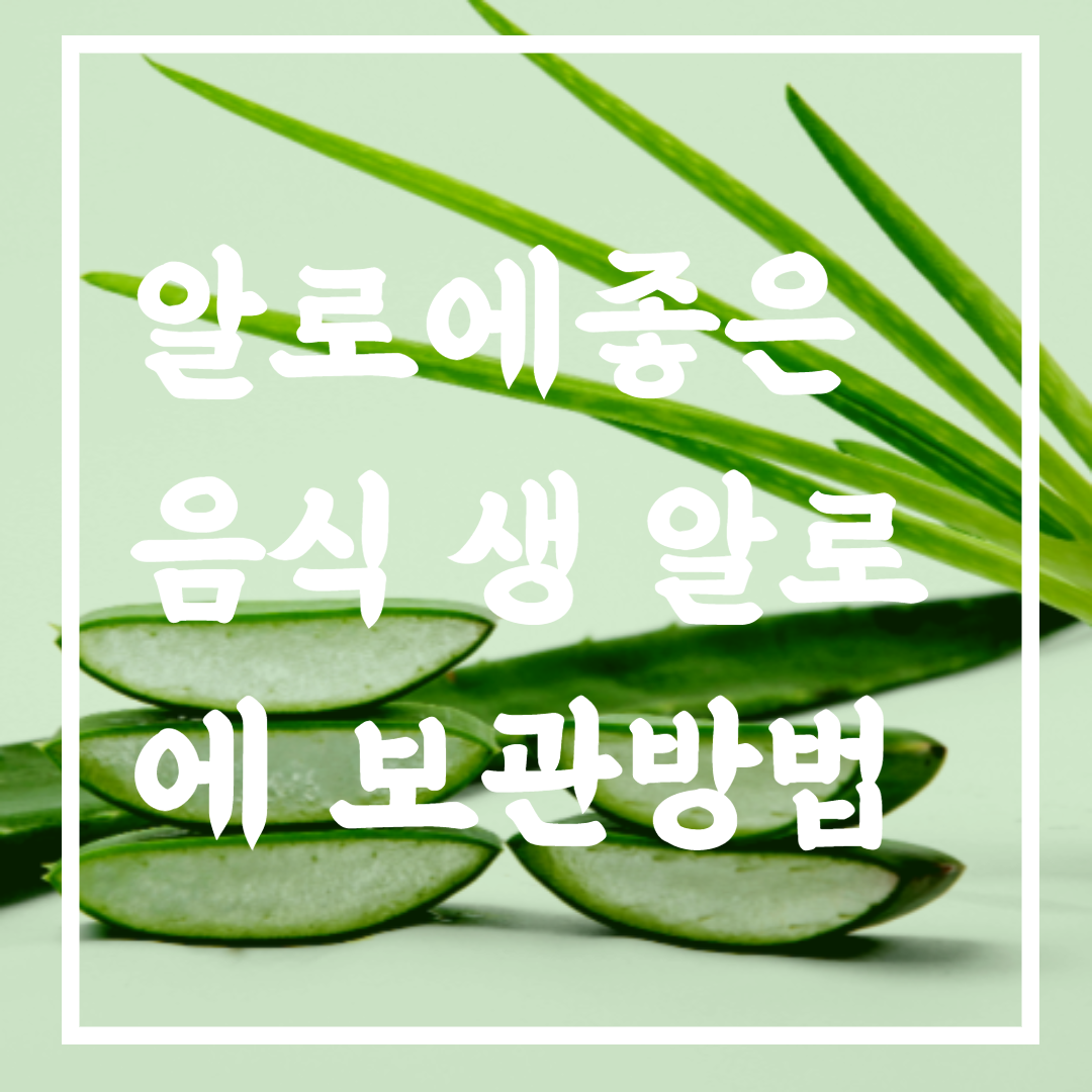 알로에좋은음식
