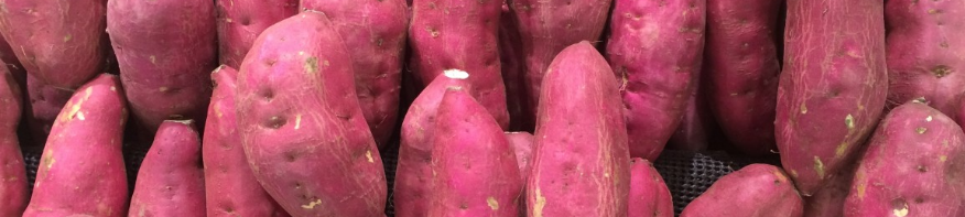 고구마 다이어트로 적당할까? 고구마칼로리&#44; 고구마GI지수4