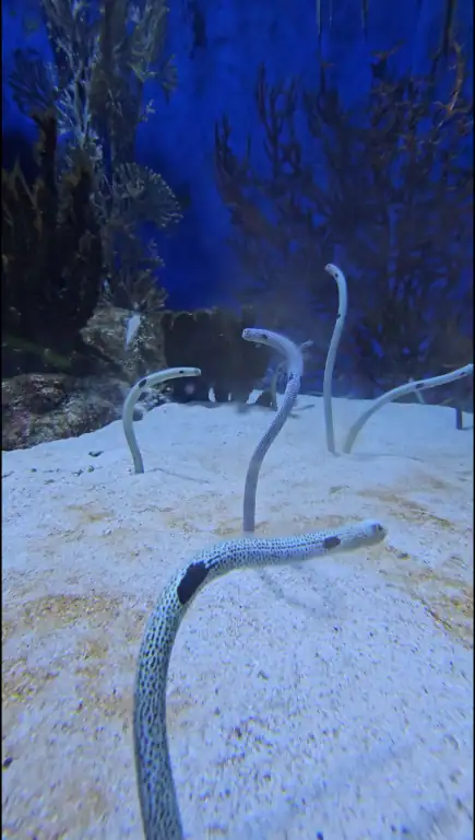 아쿠아플라넷 여수