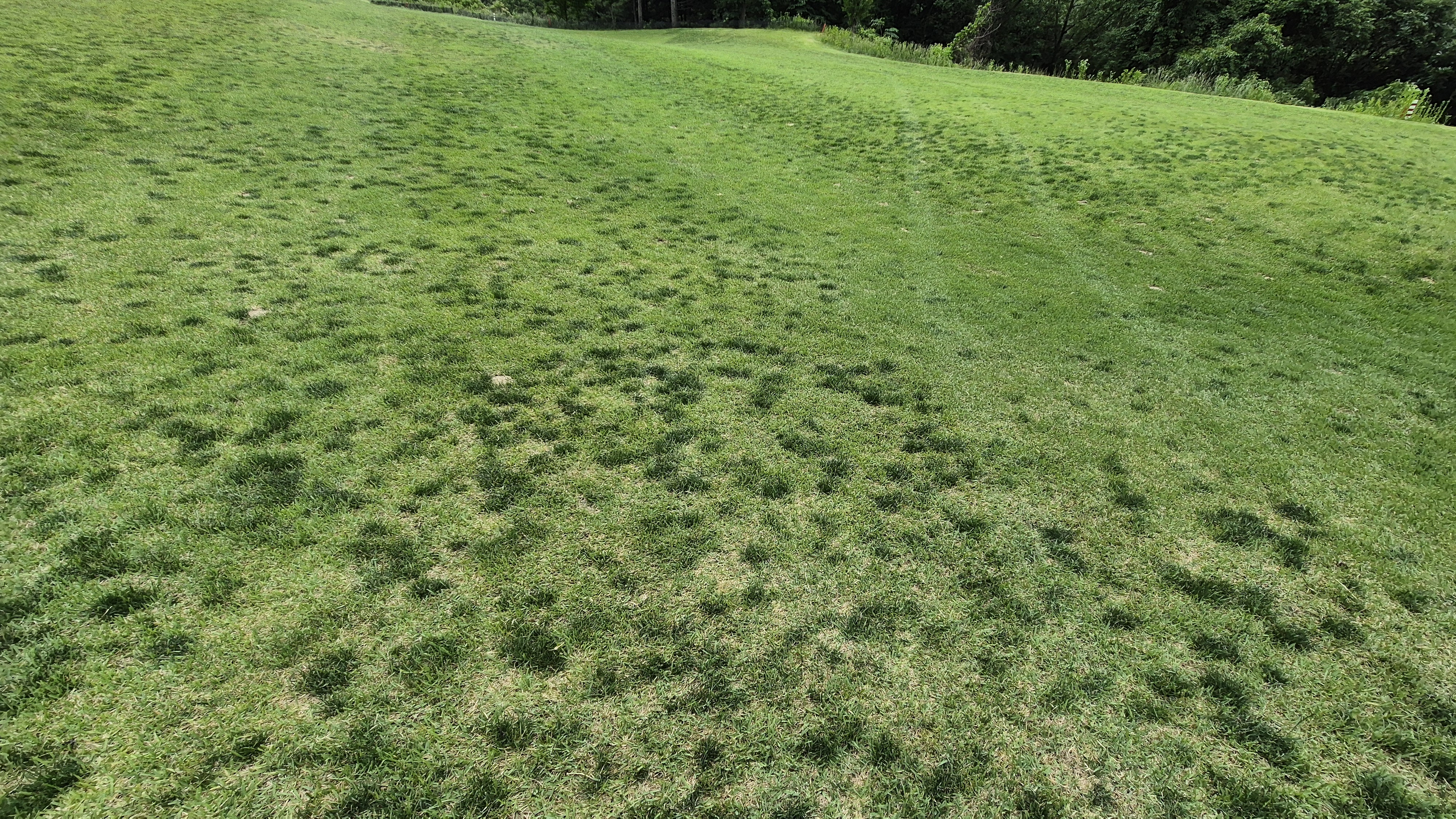 샴발라cc 라운드 후기