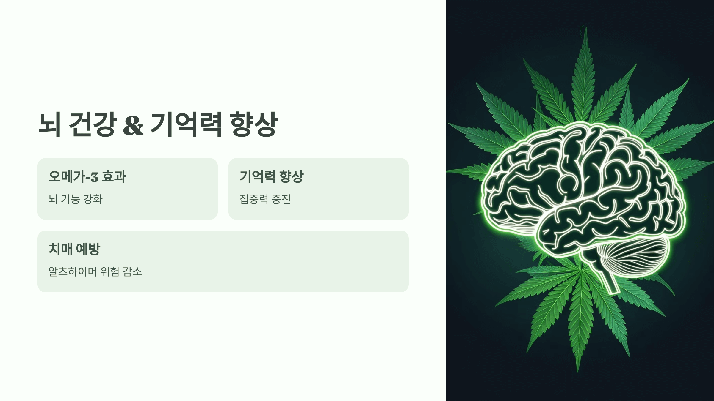 대마종자유 사진입니다.