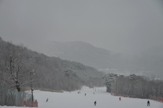 전국 스키장 개장일
