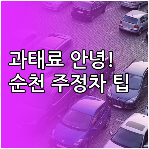 순천시 주정차 단속 문자 알림 신청 ..